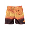 QUIKSILVER - QS Boy's Boardshort Everyday Heaven Youth 17 - EQBBS03364